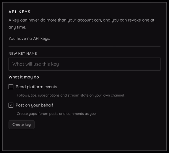 The API key settings panel with its name field and permission choices.