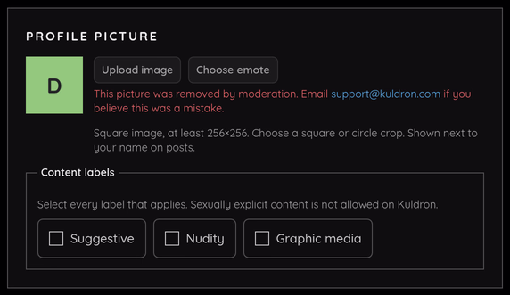 Profile picture settings after a moderation removal.